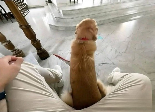 【画像】ワイのち●ち●の写真をAIでイラスト化した結果ｗｗｗｗｗｗ | 【画像】ワイのち●ち●の写真をAIでイラスト化した結果ｗｗｗｗｗｗ | 【画像】ワイのち●ち●の写真をAIでイラスト化した結果ｗｗｗｗｗｗ | 【画像】ワイのち●ち●の写真をAIでイラスト化した結果ｗｗｗｗｗｗ | やっちまった速報(画像17044852142652_4)