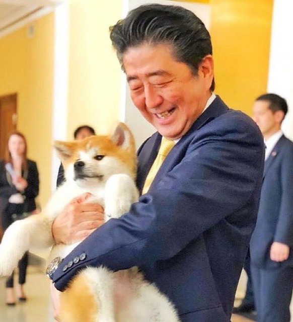 【画像】ぬいぐるみ、人が触っているとかわいく見えると判明するｗｗｗｗｗｗｗ | 【画像】ぬいぐるみ、人が触っているとかわいく見えると判明するｗｗｗｗｗｗｗ | 【画像】ぬいぐるみ、人が触っているとかわいく見えると判明するｗｗｗｗｗｗｗ | 【画像】ぬいぐるみ、人が触っているとかわいく見えると判明するｗｗｗｗｗｗｗ | 【画像】ぬいぐるみ、人が触っているとかわいく見えると判明するｗｗｗｗｗｗｗ | やっちまった速報(画像17074847002160_5)