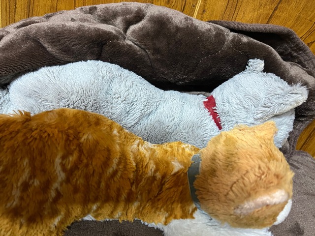 【画像】ぬいぐるみ、人が触っているとかわいく見えると判明するｗｗｗｗｗｗｗ | 【画像】ぬいぐるみ、人が触っているとかわいく見えると判明するｗｗｗｗｗｗｗ | 【画像】ぬいぐるみ、人が触っているとかわいく見えると判明するｗｗｗｗｗｗｗ | 【画像】ぬいぐるみ、人が触っているとかわいく見えると判明するｗｗｗｗｗｗｗ | 【画像】ぬいぐるみ、人が触っているとかわいく見えると判明するｗｗｗｗｗｗｗ | 【画像】ぬいぐるみ、人が触っているとかわいく見えると判明するｗｗｗｗｗｗｗ | 【画像】ぬいぐるみ、人が触っているとかわいく見えると判明するｗｗｗｗｗｗｗ | やっちまった速報(画像17074848056314_7)