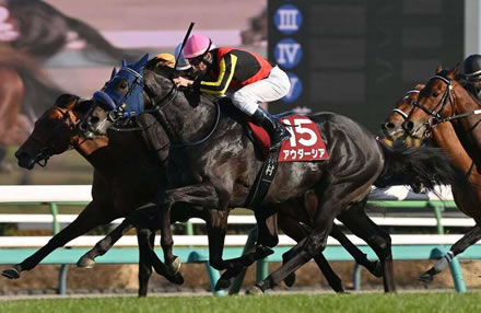 みんなスマン、70代のデリヘル嬢予約したんだけど・・・・
 | やっちまった速報(ピックアップ6)