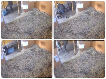 【新台】大都「eガンゲイルオンライン」スペック詳細！RUSH継続率80％、RUSH中は30％が3600個！
 | やっちまった速報(最新記事2)