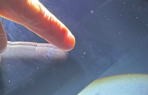 【悲報】ニコニコレンタカーさん、8.8万の飛び石請求をしてしまい大炎上中ｗｗｗｗｗ | やっちまった速報(画像18163921755011_1)