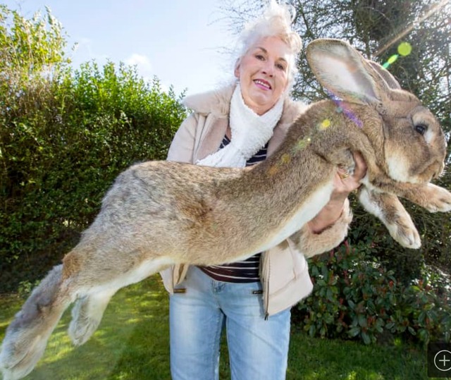【悲報】ベトナム人、マジでネコを食べてる模様・・・・・ | 【悲報】ベトナム人、マジでネコを食べてる模様・・・・・ | 【悲報】ベトナム人、マジでネコを食べてる模様・・・・・ | 【悲報】ベトナム人、マジでネコを食べてる模様・・・・・ | 【悲報】ベトナム人、マジでネコを食べてる模様・・・・・ | 【悲報】ベトナム人、マジでネコを食べてる模様・・・・・ | やっちまった速報(画像19032916163069_6)