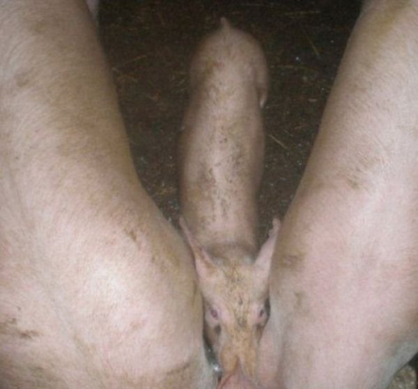 >>2->>20がウド鈴木ならち●ぽ貼る | >>2->>20がウド鈴木ならち●ぽ貼る | やっちまった速報(画像23235514999411_2) >>2->>20がウド鈴木ならち●ぽ貼る | >>2->>20がウド鈴木ならち●ぽ貼る | やっちまった速報(画像23235514999411_2)