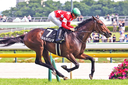 ダノンデサイルがドバイシーマクラシックに参戦　鞍上は戸崎
 | やっちまった速報(最新記事1)