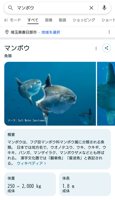 (ヽ´ん`) 「マンボウって足が早いよな」　彡(ﾟ)(ﾟ)「いや泳ぐの遅いぞ」　(ヽ´ん`) 「腐りやすいって意味だぞ」 | (ヽ´ん`) 「マンボウって足が早いよな」　彡(ﾟ)(ﾟ)「いや泳ぐの遅いぞ」　(ヽ´ん`) 「腐りやすいって意味だぞ」 | (ヽ´ん`) 「マンボウって足が早いよな」　彡(ﾟ)(ﾟ)「いや泳ぐの遅いぞ」　(ヽ´ん`) 「腐りやすいって意味だぞ」 | (ヽ´ん`) 「マンボウって足が早いよな」　彡(ﾟ)(ﾟ)「いや泳ぐの遅いぞ」　(ヽ´ん`) 「腐りやすいって意味だぞ」 | (ヽ´ん`) 「マンボウって足が早いよな」　彡(ﾟ)(ﾟ)「いや泳ぐの遅いぞ」　(ヽ´ん`) 「腐りやすいって意味だぞ」 | (ヽ´ん`) 「マンボウって足が早いよな」　彡(ﾟ)(ﾟ)「いや泳ぐの遅いぞ」　(ヽ´ん`) 「腐りやすいって意味だぞ」 | (ヽ´ん`) 「マンボウって足が早いよな」　彡(ﾟ)(ﾟ)「いや泳ぐの遅いぞ」　(ヽ´ん`) 「腐りやすいって意味だぞ」 | (ヽ´ん`) 「マンボウって足が早いよな」　彡(ﾟ)(ﾟ)「いや泳ぐの遅いぞ」　(ヽ´ん`) 「腐りやすいって意味だぞ」 | (ヽ´ん`) 「マンボウって足が早いよな」　彡(ﾟ)(ﾟ)「いや泳ぐの遅いぞ」　(ヽ´ん`) 「腐りやすいって意味だぞ」 | やっちまった速報(画像24074507550004_9)