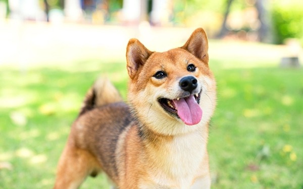 【噂】ニューギン「e無職転生」が7月6日登場か！？
 | やっちまった速報(最新記事4)