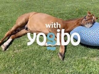 【噂】ニューギン「e無職転生」が7月6日登場か！？
 | やっちまった速報(最新記事3)