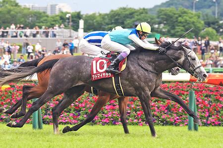 やっちまった速報(最新記事13)