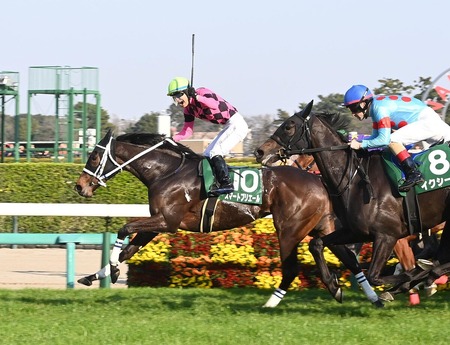 やっちまった速報(最新記事7)