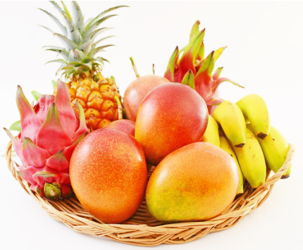 【噂】スロット「戦国乙女」シリーズ最新作が夏以降に登場か！？
 | やっちまった速報(最新記事1)