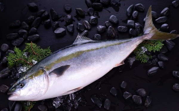 武豊が40年連続重賞勝利とかこれもうレジェンドに片足突っ込んでるだろ
 | やっちまった速報(ピックアップ5)