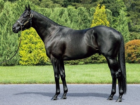 【動画】スパロボの新キャラ、演技が下手くそすぎて逝くｗｗｗｗｗｗ
 | やっちまった速報(ピックアップ7)