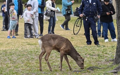 2スロの客層やばいな
 | やっちまった速報(ピックアップ2)