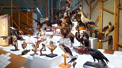 【悲報】母の死とかいう避けられないイベント・・・・・・
 | やっちまった速報(最新記事1)