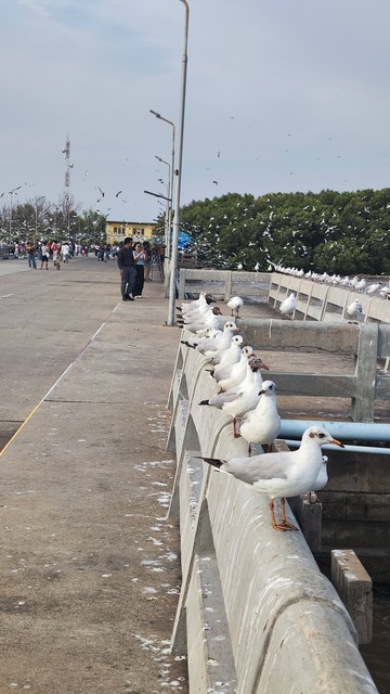 【画像】ワイ「たまには鳥さんの話しようや、ネット民の一番好きな鳥は？」 | 【画像】ワイ「たまには鳥さんの話しようや、ネット民の一番好きな鳥は？」 | 【画像】ワイ「たまには鳥さんの話しようや、ネット民の一番好きな鳥は？」 | 【画像】ワイ「たまには鳥さんの話しようや、ネット民の一番好きな鳥は？」 | 【画像】ワイ「たまには鳥さんの話しようや、ネット民の一番好きな鳥は？」 | 【画像】ワイ「たまには鳥さんの話しようや、ネット民の一番好きな鳥は？」 | 【画像】ワイ「たまには鳥さんの話しようや、ネット民の一番好きな鳥は？」 | 【画像】ワイ「たまには鳥さんの話しようや、ネット民の一番好きな鳥は？」 | 【画像】ワイ「たまには鳥さんの話しようや、ネット民の一番好きな鳥は？」 | 【画像】ワイ「たまには鳥さんの話しようや、ネット民の一番好きな鳥は？」 | 【画像】ワイ「たまには鳥さんの話しようや、ネット民の一番好きな鳥は？」 | 【画像】ワイ「たまには鳥さんの話しようや、ネット民の一番好きな鳥は？」 | 【画像】ワイ「たまには鳥さんの話しようや、ネット民の一番好きな鳥は？」 | 【画像】ワイ「たまには鳥さんの話しようや、ネット民の一番好きな鳥は？」 | 【画像】ワイ「たまには鳥さんの話しようや、ネット民の一番好きな鳥は？」 | 【画像】ワイ「たまには鳥さんの話しようや、ネット民の一番好きな鳥は？」 | 【画像】ワイ「たまには鳥さんの話しようや、ネット民の一番好きな鳥は？」 | 【画像】ワイ「たまには鳥さんの話しようや、ネット民の一番好きな鳥は？」 | 【画像】ワイ「たまには鳥さんの話しようや、ネット民の一番好きな鳥は？」 | 【画像】ワイ「たまには鳥さんの話しようや、ネット民の一番好きな鳥は？」 | 【画像】ワイ「たまには鳥さんの話しようや、ネット民の一番好きな鳥は？」 | 【画像】ワイ「たまには鳥さんの話しようや、ネット民の一番好きな鳥は？」 | 【画像】ワイ「たまには鳥さんの話しようや、ネット民の一番好きな鳥は？」 | 【画像】ワイ「たまには鳥さんの話しようや、ネット民の一番好きな鳥は？」 | 【画像】ワイ「たまには鳥さんの話しようや、ネット民の一番好きな鳥は？」 | 【画像】ワイ「たまには鳥さんの話しようや、ネット民の一番好きな鳥は？」 | 【画像】ワイ「たまには鳥さんの話しようや、ネット民の一番好きな鳥は？」 | 【画像】ワイ「たまには鳥さんの話しようや、ネット民の一番好きな鳥は？」 | 【画像】ワイ「たまには鳥さんの話しようや、ネット民の一番好きな鳥は？」 | 【画像】ワイ「たまには鳥さんの話しようや、ネット民の一番好きな鳥は？」 | 【画像】ワイ「たまには鳥さんの話しようや、ネット民の一番好きな鳥は？」 | 【画像】ワイ「たまには鳥さんの話しようや、ネット民の一番好きな鳥は？」 | 【画像】ワイ「たまには鳥さんの話しようや、ネット民の一番好きな鳥は？」 | 【画像】ワイ「たまには鳥さんの話しようや、ネット民の一番好きな鳥は？」 | 【画像】ワイ「たまには鳥さんの話しようや、ネット民の一番好きな鳥は？」 | 【画像】ワイ「たまには鳥さんの話しようや、ネット民の一番好きな鳥は？」 | 【画像】ワイ「たまには鳥さんの話しようや、ネット民の一番好きな鳥は？」 | やっちまった速報(画像27030624345761_37)