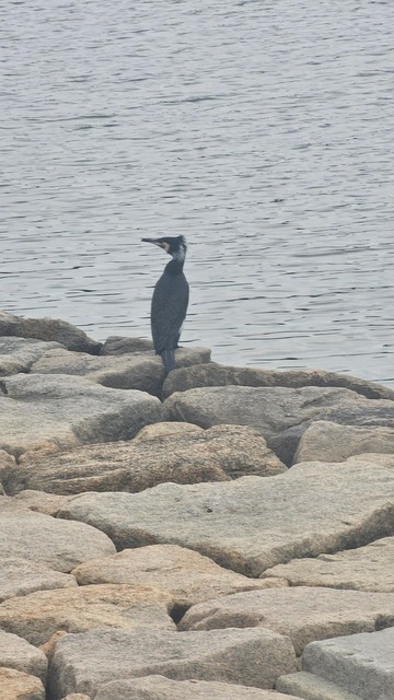 【画像】ワイ「たまには鳥さんの話しようや、ネット民の一番好きな鳥は？」 | 【画像】ワイ「たまには鳥さんの話しようや、ネット民の一番好きな鳥は？」 | 【画像】ワイ「たまには鳥さんの話しようや、ネット民の一番好きな鳥は？」 | 【画像】ワイ「たまには鳥さんの話しようや、ネット民の一番好きな鳥は？」 | 【画像】ワイ「たまには鳥さんの話しようや、ネット民の一番好きな鳥は？」 | 【画像】ワイ「たまには鳥さんの話しようや、ネット民の一番好きな鳥は？」 | 【画像】ワイ「たまには鳥さんの話しようや、ネット民の一番好きな鳥は？」 | 【画像】ワイ「たまには鳥さんの話しようや、ネット民の一番好きな鳥は？」 | 【画像】ワイ「たまには鳥さんの話しようや、ネット民の一番好きな鳥は？」 | 【画像】ワイ「たまには鳥さんの話しようや、ネット民の一番好きな鳥は？」 | 【画像】ワイ「たまには鳥さんの話しようや、ネット民の一番好きな鳥は？」 | 【画像】ワイ「たまには鳥さんの話しようや、ネット民の一番好きな鳥は？」 | 【画像】ワイ「たまには鳥さんの話しようや、ネット民の一番好きな鳥は？」 | 【画像】ワイ「たまには鳥さんの話しようや、ネット民の一番好きな鳥は？」 | 【画像】ワイ「たまには鳥さんの話しようや、ネット民の一番好きな鳥は？」 | 【画像】ワイ「たまには鳥さんの話しようや、ネット民の一番好きな鳥は？」 | 【画像】ワイ「たまには鳥さんの話しようや、ネット民の一番好きな鳥は？」 | 【画像】ワイ「たまには鳥さんの話しようや、ネット民の一番好きな鳥は？」 | 【画像】ワイ「たまには鳥さんの話しようや、ネット民の一番好きな鳥は？」 | 【画像】ワイ「たまには鳥さんの話しようや、ネット民の一番好きな鳥は？」 | 【画像】ワイ「たまには鳥さんの話しようや、ネット民の一番好きな鳥は？」 | 【画像】ワイ「たまには鳥さんの話しようや、ネット民の一番好きな鳥は？」 | 【画像】ワイ「たまには鳥さんの話しようや、ネット民の一番好きな鳥は？」 | 【画像】ワイ「たまには鳥さんの話しようや、ネット民の一番好きな鳥は？」 | 【画像】ワイ「たまには鳥さんの話しようや、ネット民の一番好きな鳥は？」 | 【画像】ワイ「たまには鳥さんの話しようや、ネット民の一番好きな鳥は？」 | 【画像】ワイ「たまには鳥さんの話しようや、ネット民の一番好きな鳥は？」 | 【画像】ワイ「たまには鳥さんの話しようや、ネット民の一番好きな鳥は？」 | 【画像】ワイ「たまには鳥さんの話しようや、ネット民の一番好きな鳥は？」 | 【画像】ワイ「たまには鳥さんの話しようや、ネット民の一番好きな鳥は？」 | 【画像】ワイ「たまには鳥さんの話しようや、ネット民の一番好きな鳥は？」 | 【画像】ワイ「たまには鳥さんの話しようや、ネット民の一番好きな鳥は？」 | 【画像】ワイ「たまには鳥さんの話しようや、ネット民の一番好きな鳥は？」 | 【画像】ワイ「たまには鳥さんの話しようや、ネット民の一番好きな鳥は？」 | 【画像】ワイ「たまには鳥さんの話しようや、ネット民の一番好きな鳥は？」 | 【画像】ワイ「たまには鳥さんの話しようや、ネット民の一番好きな鳥は？」 | 【画像】ワイ「たまには鳥さんの話しようや、ネット民の一番好きな鳥は？」 | 【画像】ワイ「たまには鳥さんの話しようや、ネット民の一番好きな鳥は？」 | やっちまった速報(画像27030624809788_38)