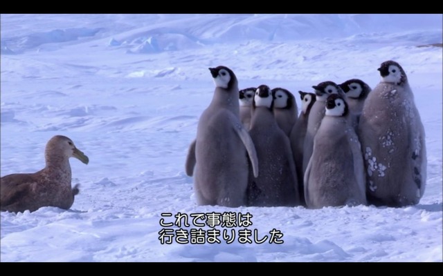 【謎】南極のペンギン、1日に1万回も4秒アレを繰り返していたｗｗｗｗｗ | 【謎】南極のペンギン、1日に1万回も4秒アレを繰り返していたｗｗｗｗｗ | 【謎】南極のペンギン、1日に1万回も4秒アレを繰り返していたｗｗｗｗｗ | 【謎】南極のペンギン、1日に1万回も4秒アレを繰り返していたｗｗｗｗｗ | 【謎】南極のペンギン、1日に1万回も4秒アレを繰り返していたｗｗｗｗｗ | 【謎】南極のペンギン、1日に1万回も4秒アレを繰り返していたｗｗｗｗｗ | 【謎】南極のペンギン、1日に1万回も4秒アレを繰り返していたｗｗｗｗｗ | 【謎】南極のペンギン、1日に1万回も4秒アレを繰り返していたｗｗｗｗｗ | 【謎】南極のペンギン、1日に1万回も4秒アレを繰り返していたｗｗｗｗｗ | 【謎】南極のペンギン、1日に1万回も4秒アレを繰り返していたｗｗｗｗｗ | やっちまった速報(画像28184426528007_10)