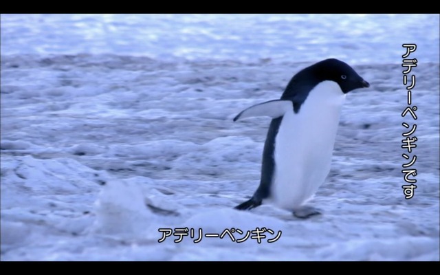 【謎】南極のペンギン、1日に1万回も4秒アレを繰り返していたｗｗｗｗｗ | 【謎】南極のペンギン、1日に1万回も4秒アレを繰り返していたｗｗｗｗｗ | 【謎】南極のペンギン、1日に1万回も4秒アレを繰り返していたｗｗｗｗｗ | 【謎】南極のペンギン、1日に1万回も4秒アレを繰り返していたｗｗｗｗｗ | 【謎】南極のペンギン、1日に1万回も4秒アレを繰り返していたｗｗｗｗｗ | 【謎】南極のペンギン、1日に1万回も4秒アレを繰り返していたｗｗｗｗｗ | 【謎】南極のペンギン、1日に1万回も4秒アレを繰り返していたｗｗｗｗｗ | 【謎】南極のペンギン、1日に1万回も4秒アレを繰り返していたｗｗｗｗｗ | 【謎】南極のペンギン、1日に1万回も4秒アレを繰り返していたｗｗｗｗｗ | 【謎】南極のペンギン、1日に1万回も4秒アレを繰り返していたｗｗｗｗｗ | 【謎】南極のペンギン、1日に1万回も4秒アレを繰り返していたｗｗｗｗｗ | やっちまった速報(画像28184426989921_11)