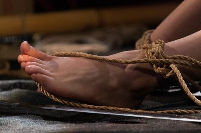 乙女4で初めてコンプしたわ
 | やっちまった速報(最新記事3)