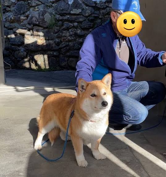 ワイ「ゴールデンレトリバー飼い始めた」お前ら「臭い」「すぐ死ぬ」　ワイ「ほーいw画像を貼るぞー」 | ワイ「ゴールデンレトリバー飼い始めた」お前ら「臭い」「すぐ死ぬ」　ワイ「ほーいw画像を貼るぞー」 | ワイ「ゴールデンレトリバー飼い始めた」お前ら「臭い」「すぐ死ぬ」　ワイ「ほーいw画像を貼るぞー」 | ワイ「ゴールデンレトリバー飼い始めた」お前ら「臭い」「すぐ死ぬ」　ワイ「ほーいw画像を貼るぞー」 | ワイ「ゴールデンレトリバー飼い始めた」お前ら「臭い」「すぐ死ぬ」　ワイ「ほーいw画像を貼るぞー」 | ワイ「ゴールデンレトリバー飼い始めた」お前ら「臭い」「すぐ死ぬ」　ワイ「ほーいw画像を貼るぞー」 | ワイ「ゴールデンレトリバー飼い始めた」お前ら「臭い」「すぐ死ぬ」　ワイ「ほーいw画像を貼るぞー」 | ワイ「ゴールデンレトリバー飼い始めた」お前ら「臭い」「すぐ死ぬ」　ワイ「ほーいw画像を貼るぞー」 | ワイ「ゴールデンレトリバー飼い始めた」お前ら「臭い」「すぐ死ぬ」　ワイ「ほーいw画像を貼るぞー」 | ワイ「ゴールデンレトリバー飼い始めた」お前ら「臭い」「すぐ死ぬ」　ワイ「ほーいw画像を貼るぞー」 | ワイ「ゴールデンレトリバー飼い始めた」お前ら「臭い」「すぐ死ぬ」　ワイ「ほーいw画像を貼るぞー」 | ワイ「ゴールデンレトリバー飼い始めた」お前ら「臭い」「すぐ死ぬ」　ワイ「ほーいw画像を貼るぞー」 | ワイ「ゴールデンレトリバー飼い始めた」お前ら「臭い」「すぐ死ぬ」　ワイ「ほーいw画像を貼るぞー」 | ワイ「ゴールデンレトリバー飼い始めた」お前ら「臭い」「すぐ死ぬ」　ワイ「ほーいw画像を貼るぞー」 | やっちまった速報(画像29014433341888_14)