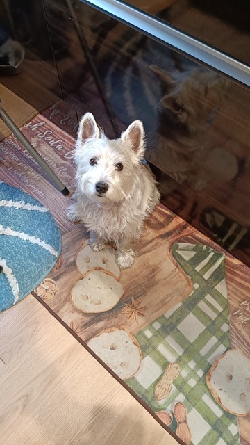 ワイ「ゴールデンレトリバー飼い始めた」お前ら「臭い」「すぐ死ぬ」　ワイ「ほーいw画像を貼るぞー」 | ワイ「ゴールデンレトリバー飼い始めた」お前ら「臭い」「すぐ死ぬ」　ワイ「ほーいw画像を貼るぞー」 | ワイ「ゴールデンレトリバー飼い始めた」お前ら「臭い」「すぐ死ぬ」　ワイ「ほーいw画像を貼るぞー」 | ワイ「ゴールデンレトリバー飼い始めた」お前ら「臭い」「すぐ死ぬ」　ワイ「ほーいw画像を貼るぞー」 | ワイ「ゴールデンレトリバー飼い始めた」お前ら「臭い」「すぐ死ぬ」　ワイ「ほーいw画像を貼るぞー」 | ワイ「ゴールデンレトリバー飼い始めた」お前ら「臭い」「すぐ死ぬ」　ワイ「ほーいw画像を貼るぞー」 | ワイ「ゴールデンレトリバー飼い始めた」お前ら「臭い」「すぐ死ぬ」　ワイ「ほーいw画像を貼るぞー」 | ワイ「ゴールデンレトリバー飼い始めた」お前ら「臭い」「すぐ死ぬ」　ワイ「ほーいw画像を貼るぞー」 | ワイ「ゴールデンレトリバー飼い始めた」お前ら「臭い」「すぐ死ぬ」　ワイ「ほーいw画像を貼るぞー」 | ワイ「ゴールデンレトリバー飼い始めた」お前ら「臭い」「すぐ死ぬ」　ワイ「ほーいw画像を貼るぞー」 | ワイ「ゴールデンレトリバー飼い始めた」お前ら「臭い」「すぐ死ぬ」　ワイ「ほーいw画像を貼るぞー」 | ワイ「ゴールデンレトリバー飼い始めた」お前ら「臭い」「すぐ死ぬ」　ワイ「ほーいw画像を貼るぞー」 | ワイ「ゴールデンレトリバー飼い始めた」お前ら「臭い」「すぐ死ぬ」　ワイ「ほーいw画像を貼るぞー」 | ワイ「ゴールデンレトリバー飼い始めた」お前ら「臭い」「すぐ死ぬ」　ワイ「ほーいw画像を貼るぞー」 | ワイ「ゴールデンレトリバー飼い始めた」お前ら「臭い」「すぐ死ぬ」　ワイ「ほーいw画像を貼るぞー」 | ワイ「ゴールデンレトリバー飼い始めた」お前ら「臭い」「すぐ死ぬ」　ワイ「ほーいw画像を貼るぞー」 | ワイ「ゴールデンレトリバー飼い始めた」お前ら「臭い」「すぐ死ぬ」　ワイ「ほーいw画像を貼るぞー」 | ワイ「ゴールデンレトリバー飼い始めた」お前ら「臭い」「すぐ死ぬ」　ワイ「ほーいw画像を貼るぞー」 | ワイ「ゴールデンレトリバー飼い始めた」お前ら「臭い」「すぐ死ぬ」　ワイ「ほーいw画像を貼るぞー」 | ワイ「ゴールデンレトリバー飼い始めた」お前ら「臭い」「すぐ死ぬ」　ワイ「ほーいw画像を貼るぞー」 | ワイ「ゴールデンレトリバー飼い始めた」お前ら「臭い」「すぐ死ぬ」　ワイ「ほーいw画像を貼るぞー」 | ワイ「ゴールデンレトリバー飼い始めた」お前ら「臭い」「すぐ死ぬ」　ワイ「ほーいw画像を貼るぞー」 | ワイ「ゴールデンレトリバー飼い始めた」お前ら「臭い」「すぐ死ぬ」　ワイ「ほーいw画像を貼るぞー」 | ワイ「ゴールデンレトリバー飼い始めた」お前ら「臭い」「すぐ死ぬ」　ワイ「ほーいw画像を貼るぞー」 | ワイ「ゴールデンレトリバー飼い始めた」お前ら「臭い」「すぐ死ぬ」　ワイ「ほーいw画像を貼るぞー」 | ワイ「ゴールデンレトリバー飼い始めた」お前ら「臭い」「すぐ死ぬ」　ワイ「ほーいw画像を貼るぞー」 | ワイ「ゴールデンレトリバー飼い始めた」お前ら「臭い」「すぐ死ぬ」　ワイ「ほーいw画像を貼るぞー」 | やっちまった速報(画像29014439563888_27)