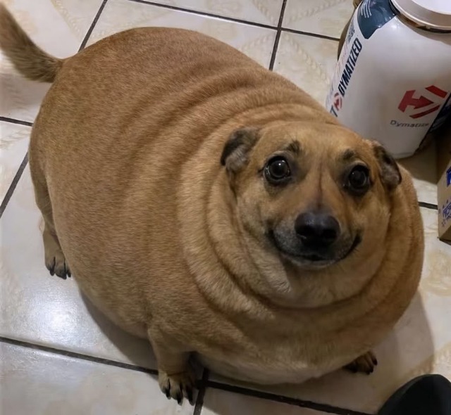 ワイ「ゴールデンレトリバー飼い始めた」お前ら「臭い」「すぐ死ぬ」　ワイ「ほーいw画像を貼るぞー」 | ワイ「ゴールデンレトリバー飼い始めた」お前ら「臭い」「すぐ死ぬ」　ワイ「ほーいw画像を貼るぞー」 | ワイ「ゴールデンレトリバー飼い始めた」お前ら「臭い」「すぐ死ぬ」　ワイ「ほーいw画像を貼るぞー」 | ワイ「ゴールデンレトリバー飼い始めた」お前ら「臭い」「すぐ死ぬ」　ワイ「ほーいw画像を貼るぞー」 | ワイ「ゴールデンレトリバー飼い始めた」お前ら「臭い」「すぐ死ぬ」　ワイ「ほーいw画像を貼るぞー」 | ワイ「ゴールデンレトリバー飼い始めた」お前ら「臭い」「すぐ死ぬ」　ワイ「ほーいw画像を貼るぞー」 | ワイ「ゴールデンレトリバー飼い始めた」お前ら「臭い」「すぐ死ぬ」　ワイ「ほーいw画像を貼るぞー」 | ワイ「ゴールデンレトリバー飼い始めた」お前ら「臭い」「すぐ死ぬ」　ワイ「ほーいw画像を貼るぞー」 | ワイ「ゴールデンレトリバー飼い始めた」お前ら「臭い」「すぐ死ぬ」　ワイ「ほーいw画像を貼るぞー」 | ワイ「ゴールデンレトリバー飼い始めた」お前ら「臭い」「すぐ死ぬ」　ワイ「ほーいw画像を貼るぞー」 | ワイ「ゴールデンレトリバー飼い始めた」お前ら「臭い」「すぐ死ぬ」　ワイ「ほーいw画像を貼るぞー」 | ワイ「ゴールデンレトリバー飼い始めた」お前ら「臭い」「すぐ死ぬ」　ワイ「ほーいw画像を貼るぞー」 | ワイ「ゴールデンレトリバー飼い始めた」お前ら「臭い」「すぐ死ぬ」　ワイ「ほーいw画像を貼るぞー」 | ワイ「ゴールデンレトリバー飼い始めた」お前ら「臭い」「すぐ死ぬ」　ワイ「ほーいw画像を貼るぞー」 | ワイ「ゴールデンレトリバー飼い始めた」お前ら「臭い」「すぐ死ぬ」　ワイ「ほーいw画像を貼るぞー」 | ワイ「ゴールデンレトリバー飼い始めた」お前ら「臭い」「すぐ死ぬ」　ワイ「ほーいw画像を貼るぞー」 | ワイ「ゴールデンレトリバー飼い始めた」お前ら「臭い」「すぐ死ぬ」　ワイ「ほーいw画像を貼るぞー」 | ワイ「ゴールデンレトリバー飼い始めた」お前ら「臭い」「すぐ死ぬ」　ワイ「ほーいw画像を貼るぞー」 | ワイ「ゴールデンレトリバー飼い始めた」お前ら「臭い」「すぐ死ぬ」　ワイ「ほーいw画像を貼るぞー」 | ワイ「ゴールデンレトリバー飼い始めた」お前ら「臭い」「すぐ死ぬ」　ワイ「ほーいw画像を貼るぞー」 | ワイ「ゴールデンレトリバー飼い始めた」お前ら「臭い」「すぐ死ぬ」　ワイ「ほーいw画像を貼るぞー」 | ワイ「ゴールデンレトリバー飼い始めた」お前ら「臭い」「すぐ死ぬ」　ワイ「ほーいw画像を貼るぞー」 | ワイ「ゴールデンレトリバー飼い始めた」お前ら「臭い」「すぐ死ぬ」　ワイ「ほーいw画像を貼るぞー」 | ワイ「ゴールデンレトリバー飼い始めた」お前ら「臭い」「すぐ死ぬ」　ワイ「ほーいw画像を貼るぞー」 | ワイ「ゴールデンレトリバー飼い始めた」お前ら「臭い」「すぐ死ぬ」　ワイ「ほーいw画像を貼るぞー」 | ワイ「ゴールデンレトリバー飼い始めた」お前ら「臭い」「すぐ死ぬ」　ワイ「ほーいw画像を貼るぞー」 | ワイ「ゴールデンレトリバー飼い始めた」お前ら「臭い」「すぐ死ぬ」　ワイ「ほーいw画像を貼るぞー」 | ワイ「ゴールデンレトリバー飼い始めた」お前ら「臭い」「すぐ死ぬ」　ワイ「ほーいw画像を貼るぞー」 | やっちまった速報(画像29014440032982_28)