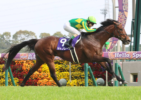 M1グランプリで「あ、コイツらつまんねえわ」ってなる芸人にありがちなことｗｗｗ
 | やっちまった速報(ピックアップ5)