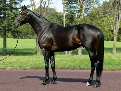 矢作側の弁明に記事の担当者が反論「掲載前に原稿を確認してもらってる」
 | やっちまった速報(最新記事1)