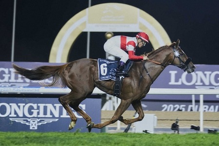 キタサンブラック22冠確定へｗｗｗ
 | やっちまった速報(ピックアップ6)