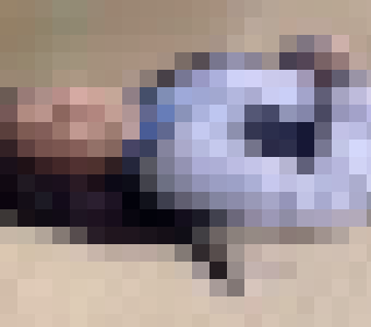 【悲報】日本人、タイとインドとムスリムとレスバし国際問題になってしまうｗｗｗｗｗｗ
 | やっちまった速報(ピックアップ6)