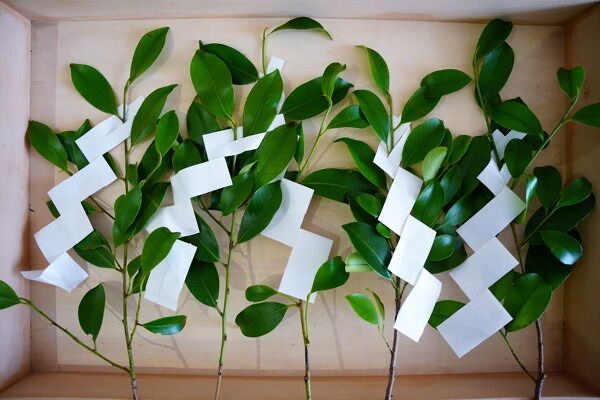 子どもの頃ワイ｢焼香のやり方わからんから大人の真似するか…｣ | 子どもの頃ワイ｢焼香のやり方わからんから大人の真似するか…｣ | やっちまった速報(画像03234456429775_2)