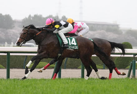 【衝撃的】熊田曜子「手帳のハートマークは女の子の日なの！」裁判官「月に何回生理あるんだよ？」→ ご覧くださいｗｗｗｗｗｗｗｗ | やっちまった速報(最新記事2)