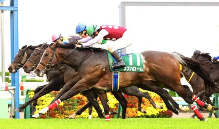 【画像】昨今のAV女優、エッチ度のインフレがもう止まらんよ
 | やっちまった速報(ピックアップ4)