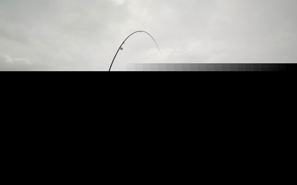 レイチェル・キング騎手が豪ダービー制覇！女性騎手初の快挙
 | やっちまった速報(ピックアップ4)