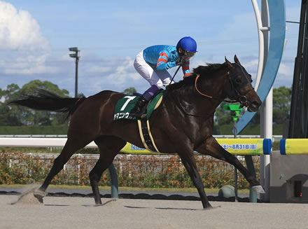 【画像】31歳彼氏持ちの女が男子高校生と不倫するドラマ、キモすぎると大炎上してしまう・・・・・・
 | やっちまった速報(ピックアップ7)