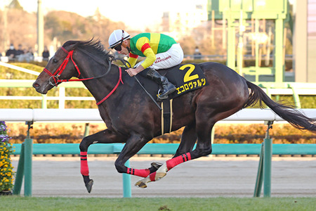 やっちまった速報(最新記事18)