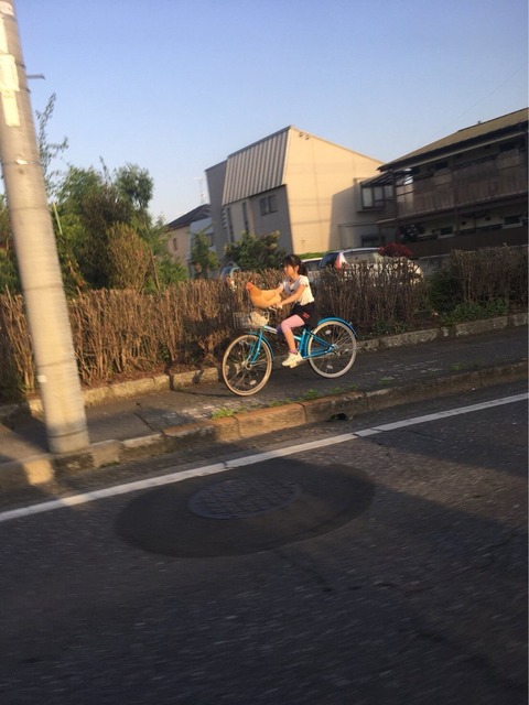 【動画】自転車、トラップに引っかかり号泣してしまう・・・・・ | 【動画】自転車、トラップに引っかかり号泣してしまう・・・・・ | 【動画】自転車、トラップに引っかかり号泣してしまう・・・・・ | 【動画】自転車、トラップに引っかかり号泣してしまう・・・・・ | 【動画】自転車、トラップに引っかかり号泣してしまう・・・・・ | 【動画】自転車、トラップに引っかかり号泣してしまう・・・・・ | 【動画】自転車、トラップに引っかかり号泣してしまう・・・・・ | 【動画】自転車、トラップに引っかかり号泣してしまう・・・・・ | 【動画】自転車、トラップに引っかかり号泣してしまう・・・・・ | 【動画】自転車、トラップに引っかかり号泣してしまう・・・・・ | 【動画】自転車、トラップに引っかかり号泣してしまう・・・・・ | 【動画】自転車、トラップに引っかかり号泣してしまう・・・・・ | 【動画】自転車、トラップに引っかかり号泣してしまう・・・・・ | 【動画】自転車、トラップに引っかかり号泣してしまう・・・・・ | 【動画】自転車、トラップに引っかかり号泣してしまう・・・・・ | 【動画】自転車、トラップに引っかかり号泣してしまう・・・・・ | 【動画】自転車、トラップに引っかかり号泣してしまう・・・・・ | やっちまった速報(画像06071438212891_17)