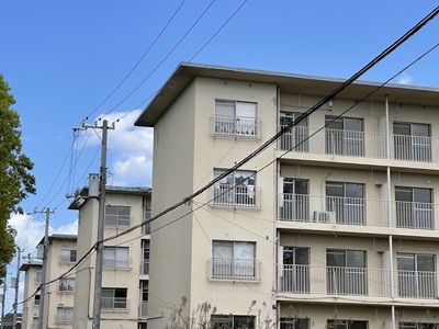 戦国乙女ですけべしたいキャラ
 | やっちまった速報(ピックアップ5)