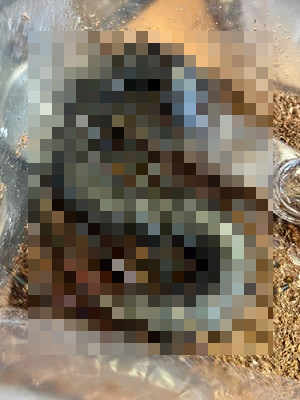 やっちまった速報(ピックアップ3)