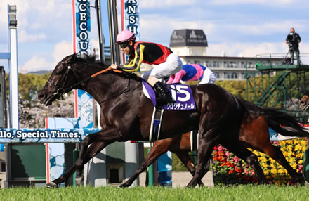 やっちまった速報(最新記事19)