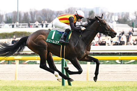 やっちまった速報(最新記事4)