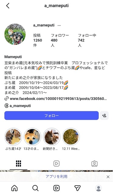 【閲覧注意】中華女、噛み付いてきた芝犬をボコボコにしてしまう・・・・ | 【閲覧注意】中華女、噛み付いてきた芝犬をボコボコにしてしまう・・・・ | 【閲覧注意】中華女、噛み付いてきた芝犬をボコボコにしてしまう・・・・ | 【閲覧注意】中華女、噛み付いてきた芝犬をボコボコにしてしまう・・・・ | やっちまった速報(画像09050052769404_4)