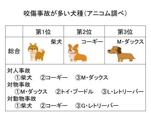 【閲覧注意】中華女、噛み付いてきた芝犬をボコボコにしてしまう・・・・ | 【閲覧注意】中華女、噛み付いてきた芝犬をボコボコにしてしまう・・・・ | 【閲覧注意】中華女、噛み付いてきた芝犬をボコボコにしてしまう・・・・ | 【閲覧注意】中華女、噛み付いてきた芝犬をボコボコにしてしまう・・・・ | 【閲覧注意】中華女、噛み付いてきた芝犬をボコボコにしてしまう・・・・ | 【閲覧注意】中華女、噛み付いてきた芝犬をボコボコにしてしまう・・・・ | やっちまった速報(画像09050054446918_6)