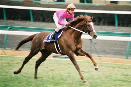 やっちまった速報(最新記事16)