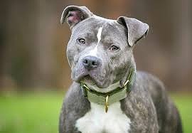 【動画】クソガキ、しょーもない事で大はしゃぎしてしまうｗｗｗｗｗｗｗ
 | やっちまった速報(最新記事2)