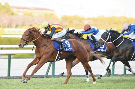 【閲覧注意】子供がピットブルに喰い付かれ、ガチでヤバい状況に・・・
 | やっちまった速報(最新記事1)