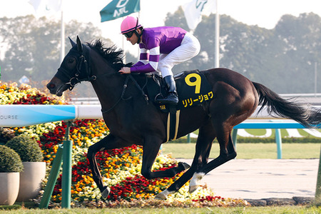 辺野古転覆事故、noteに「遺族メモ」を投稿する・・・
 | やっちまった速報(最新記事16)