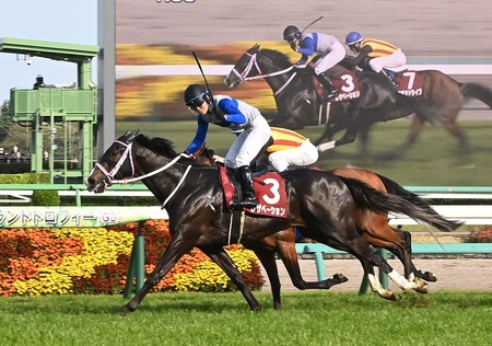 辺野古転覆事故、noteに「遺族メモ」を投稿する・・・
 | やっちまった速報(最新記事13)