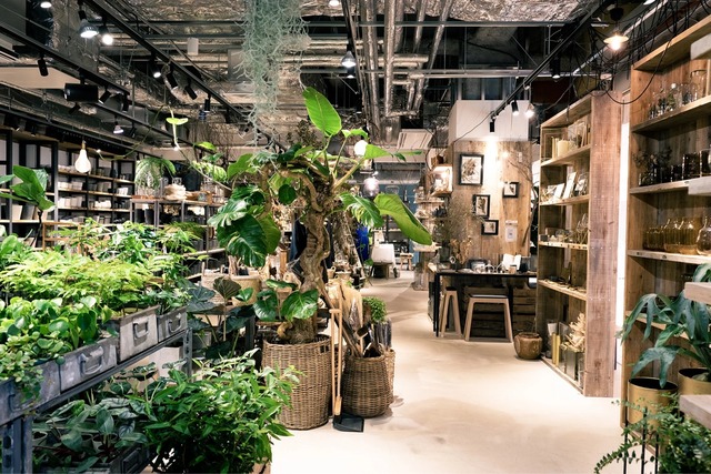 【悲報】真っ当に育った大人「植物がさー、お皿がさー、舞台がさー」真っ当じゃない大人「外食がさー、グッズがさー、映画がさー…」 | 【悲報】真っ当に育った大人「植物がさー、お皿がさー、舞台がさー」真っ当じゃない大人「外食がさー、グッズがさー、映画がさー…」 | 【悲報】真っ当に育った大人「植物がさー、お皿がさー、舞台がさー」真っ当じゃない大人「外食がさー、グッズがさー、映画がさー…」 | やっちまった速報(画像13014438190080_3)